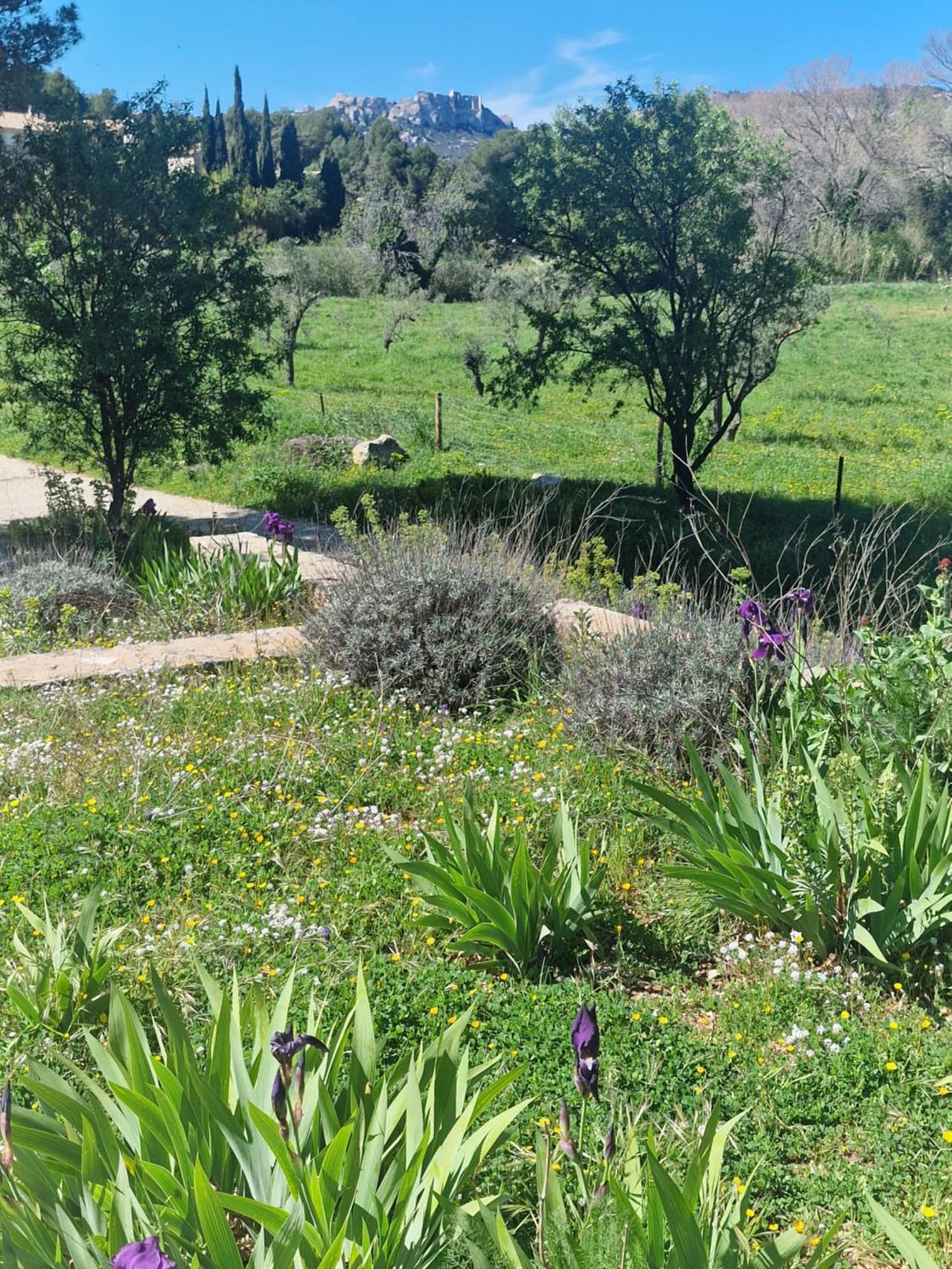 Domaine Du Mas Foucray *