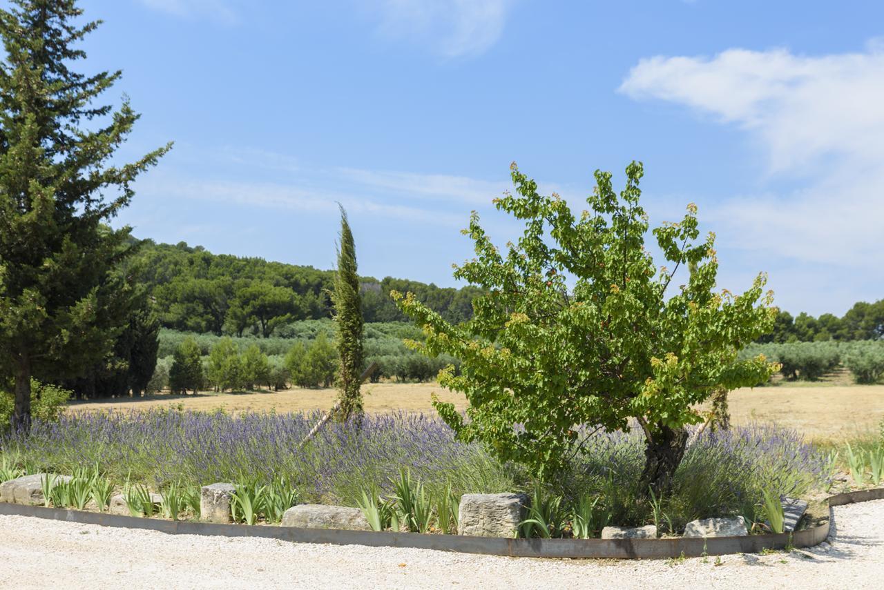 Domaine Du Mas Foucray Aparthotel Les Baux-de-Provence