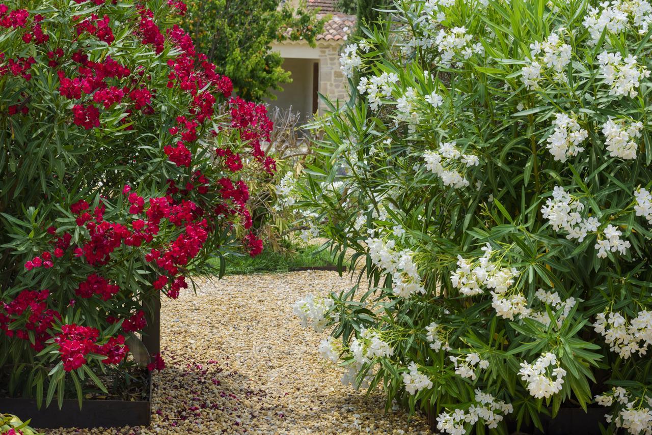 Aparthotel Domaine Du Mas Foucray