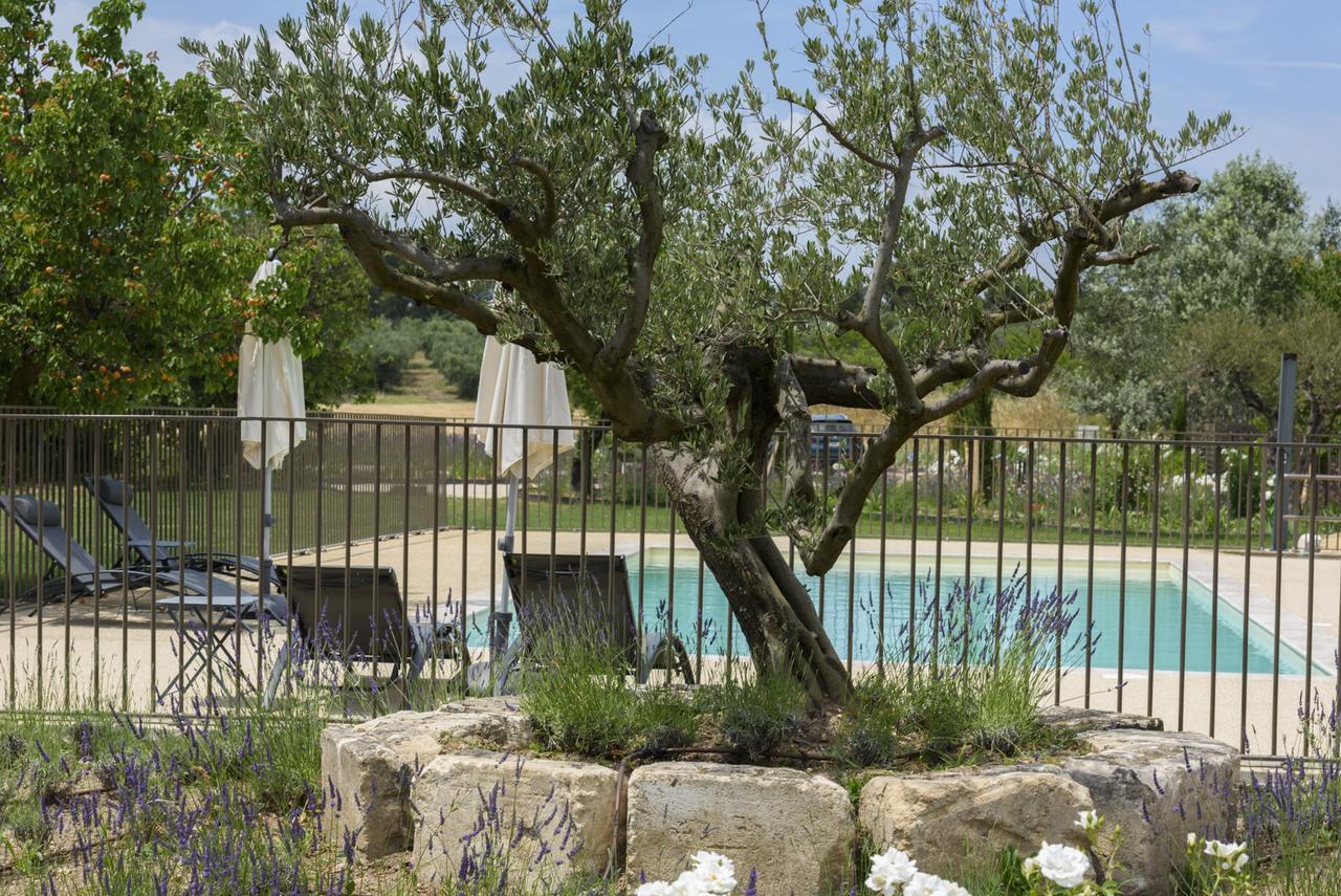 Domaine Du Mas Foucray *